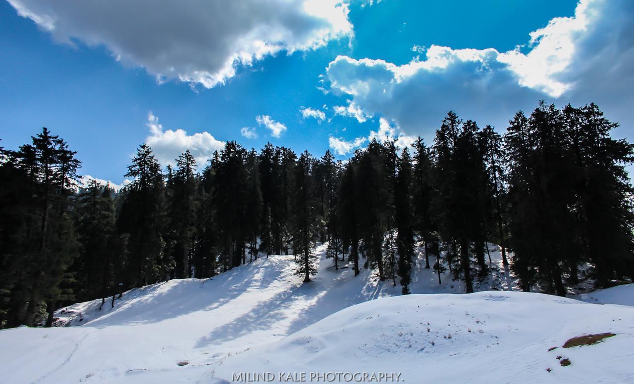 Tethys Ski Resort Narkanda Extérieur photo